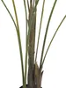 EUROPALMS Großblatt-Areca, Kunstpflanze, 185cm (82509442) Produktbild-Vorschau 3