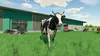Landwirtschafts-Simulator 22  Spiel für PS4  AT Produktbild-Vorschau 3