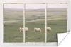 MuchoWow® Poster Durchschauen - Schafe - Gras 180x120 cm - Produktbild-Vorschau 1
