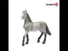 Schleich Horse Club        13924 Pura Raza Espanola Produktbild-Vorschau 7