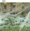 Pavouci - HALLOWEEN - sada 50 ks Náhled obrázku produktu 1