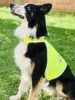 Korntex Stretchy Hi-Vis Safety Vest For Dogs Buenos Aires Produktbild-Vorschau 3