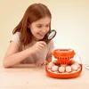 Brutautomat - Eierinkubator Für 12 Eier - Vollautomatisch - Produktbild-Vorschau 8