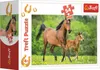 TREFL Display Puzzle World of Horses 54 Teile (40 Stück) Produktbild-Vorschau 8