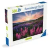 Lupinen Ravensburger 12000688 Produktbild-Vorschau 7