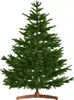 Albero di Natale artificiale FROST, 180 cm, verde Anteprima dell’immagine prodotto 1