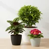 Blumentopf Rund, Gerillter Blumentopf, Blumenabdeckung Ø 30 Produktbild-Vorschau 5