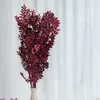 Ruscus Stabilisierte - (Ruscus) - Kirschrot Produktbild-Vorschau 4