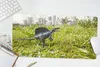MuchoWow® Mauspad Mousepad Dinosaurier - Gras - Klein 60x30 Produktbild-Vorschau 5