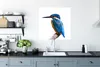 MuchoWow® Poster Eisvogel - Federn - Zweig - Blau 75x75 cm Produktbild-Vorschau 3