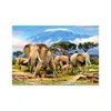 Puzzle 1000 elementów Kilimandżaro o poranku 103188 Podgląd zdjęcia produktu 2