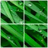 Bild auf Leinwand - Leinwandbild - Natur Gras Wasser Produktbild-Vorschau 8
