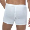 ESGE 5er Pack - Doppelripp Retro Short / Pant Ohne Produktbild-Vorschau 3