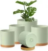 5 Packs Blumentopf mit Untersetzer, Produktbild-Vorschau 1