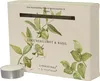 Duftkerzen Teelichter Wachs 38mm Limette Bergamotte Produktbild-Vorschau 1