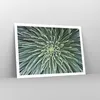 Poster - Poster ohne Rahmen - Agave Grün Pflanze - 100x70 Produktbild-Vorschau 7