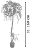 Wisteria Glicine Pianta Albero Artificiale Plastica con Anteprima dell’immagine prodotto 6