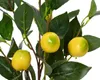Künstlicher Zitronenbaum h45cm Produktbild-Vorschau 2