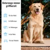 Reisedecke für Hunde, Hundedecke mit weichem Produktbild-Vorschau 3