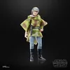 Hasbro Star Wars Černá série Princezna Leia (Endor) 15 Náhled obrázku produktu 12