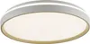 Stropné svietidlo JUST LIGHTLED 14278-39, 34 W, CCT, 4600 Náhľad obrázku produktu 1