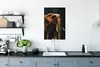 MuchoWow® Poster Elefant - Schwarz - Farbe 40x60 cm - Produktbild-Vorschau 3