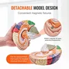 Anatomie des menschlichen Gehirns, 4-teiliges anatomisches Produktbild-Vorschau 4