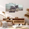 Bild auf Leinwand - Leinwandbild - Zebra Tier Wiese - Produktbild-Vorschau 7