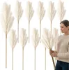 Lot de 10 décorations artificielles en herbe de pampa Voir les images du produit 1