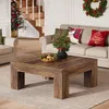 A living room decorated for Christmas, featuring a coffee table, sofa, and armchair. Voir les images du produit