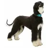 Trixie Collier en cuir ACTIVE Comfort pour Greyhounds - Voir les images du produit 10