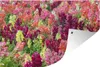 MuchoWow® Produktbild-Vorschau 1