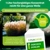 Purgrün Ziergras-Dünger 1 Liter, Produktbild-Vorschau 4