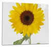 Wallario Herdabdeckplatte aus Glas, Größe 60 x 52 cm Produktbild-Vorschau 1