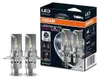 LED-lamp LEDriving HL EASY GEN 2, H4/H19, fitting P43T, Productafbeelding-voorbeeld 2