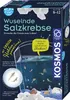 KOSMOS Experimentálna súprava Ráčiky v soli Náhľad obrázku produktu 6