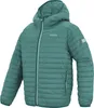 Regatta - dětská bunda „Hillpack“ s kapucí RG12628 Náhled obrázku produktu 3