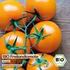 Samenliebe  Tomate Samen | Auriga - orange & süßlich - Produktbild-Vorschau 4