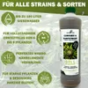 GreenPanda Dünger für Indoor & Outdoor - 1l Konzentrat für Produktbild-Vorschau 5