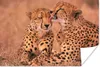 MuchoWow® Poster Baby-Geparden 120x80 cm - Bilder Produktbild-Vorschau 1