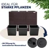 A planter box with three inner pots, with text highlighting its suitability for strong plants and a feature for controlled water drainage. Produktbild-Vorschau