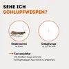 Schlupfwespen gegen Kleidermotten - 30 Karten (6 Karten á 5 Produktbild-Vorschau 2