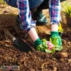 KOTARBAU® cazzuola per fiori per piantare e trapiantare Anteprima dell’immagine prodotto 5