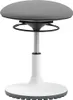 A studio shot of a gray and white adjustable stool.