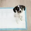 PURLOV 21602 Trainings-Saugkissen 60x90cm 50 Stück + 30 Produktbild-Vorschau 16
