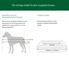 Dehner Lieblinge Orthopädisches Hunde- und Katzenbett, Produktbild-Vorschau 3