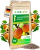 Purgrün -Aprikosenbaum-Dünger 1 kg, Produktbild-Vorschau 1