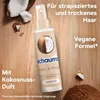 Schauma Sprüh Spülung Repair und Pflege Produktbild-Vorschau 6