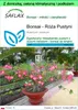 SAFLAX - Garden to go - Bonsai - Róża Pustyni - 8 Nasiona - Podgląd zdjęcia produktu 1