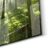 DEQORI Magnettafel Glas 30x30 cm 'Waldlichtspiele' Produktbild-Vorschau 5